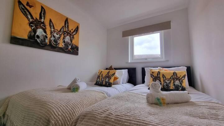 No 62 Fivedom - Charming & Cosy Appartement Southampton Buitenkant foto